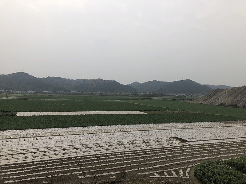 市、縣領(lǐng)導(dǎo)現(xiàn)場調(diào)研天馬50萬噸玻瓶項(xiàng)目(圖7)